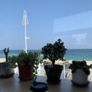 GS25안목해맞이점 이미지