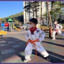 소나무향기태권도장 이미지