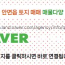 안면읍사무소 이미지