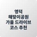 지엠대우울진바로정비코너 | 영덕 해맞이공원 가을 드라이브 코스 추천｜강구항·블루로드 하루 여행