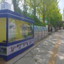 류현진 거리 이미지