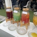 대구 웨딩홀 :: 엘파소하우스웨딩 / 야외 예식장 하객후기