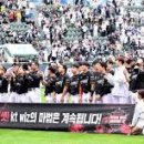 와일드카드
