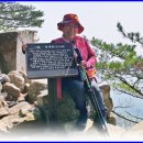 무릉도원면-17 이미지