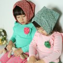 핑크고릴라