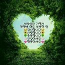 예다움헤어 네이버블로그