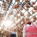 수색농원 이미지