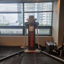 라이프 피트니스 이미지