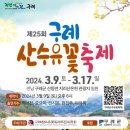 축제 정보/ 2024구례 산수유꽃축제 이미지