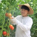 민정욱농장 네이버블로그