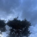 겨울방학 독서 기록 챌린지 | [일상] 홍콩 교환학생을 위한 출국 이전까지의 기록