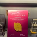 4798 | 모티바 후기, 몇 cc로 성형한 사람의 리뷰를 봐야할까?