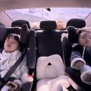 대천 유아키즈 태권 | 지옥 낮잠패스, 아이주도이유식 밥머핀, 독박육아 에코시티 키즈다쿵과 정읍 비비포레, 1박2일 대천여행