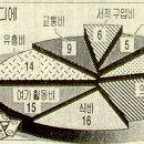 신세대이용 이미지