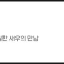 닭강정에빠진새우