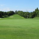 J크레인 이미지