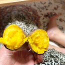 소문난야식 이미지