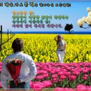 오리지널 모음곡-1 http://cafe.daum.net/oldiesPOP 이미지