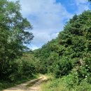 오음2리 이미지