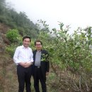 금식농장 이미지