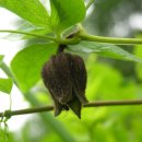 여로민박 이미지