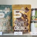 몽글몽글 애견유치원 이미지