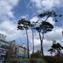 컴포즈커피 군산미장점 이미지