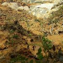 삿갓농장(2) 이미지