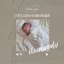 진솔세탁 이미지