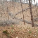 산양농장 이미지