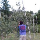 박달재농원 이미지