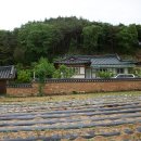 봉화내성시장 이미지