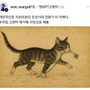 민화 고급 이미지