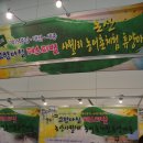광석면 사월1리마을 이미지