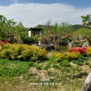 태화강국가정원 이미지