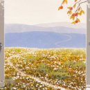 기억-그리움 이미지