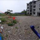 팔봉동-01 이미지