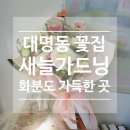 대구 대명동꽃집 " <b>새늘</b>가드닝 " 다 퍼주는 앞산꽃집