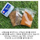 소램360 이미지