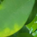 경기시흥내과의원 이미지