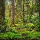 봄,여름,가을,겨울 이미지