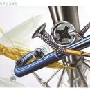 건국대학교(글로컬) 이미지