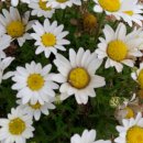 거진종합운동장 이미지