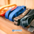 고려대한태권도 이미지