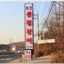 최강 풍천장어 이미지