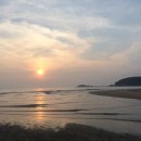 몽산포랑바다랑 이미지