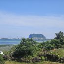 시흥리-2 이미지