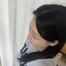 래쉬키미 이미지