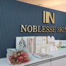 노블레스 스킨 이미지