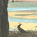 종찬목장 이미지